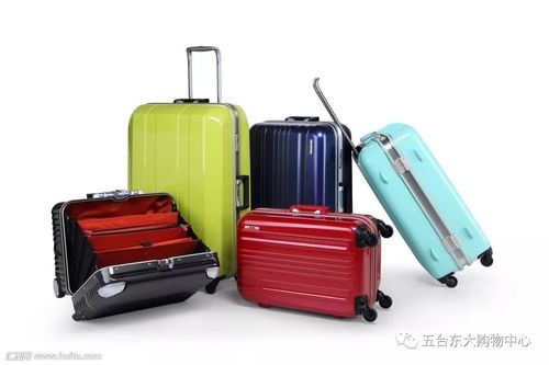 升學季箱約美麗包，啟航夢想新篇章